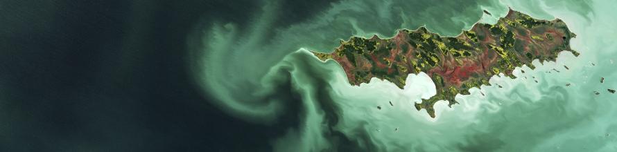 Algae bloom in Lake Winnipeg in the Canadian province of Manitoba, with Reindeer Island visible in the lower-right part of the image. Image: contains modified Copernicus Sentinel data (2017), processed by ESA, CC BY-SA 3.0 IGO. Algae bloom in Lake Winnipeg in the Canadian province of Manitoba, with Reindeer Island visible in the lower-right part of the image. Image: contains modified Copernicus Sentinel data (2017), processed by ESA, CC BY-SA 3.0 IGO.