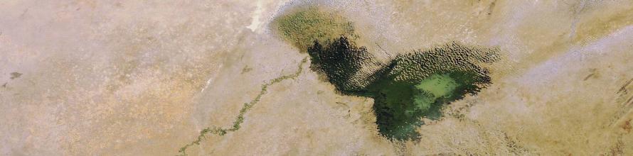 Lake Chad has shrunk dramatically over the last four decades due to a decrease in rainfall and an increase in the amount of water used for irrigation projects. Its surface area was 25 000 sq km in the early 1960s, compared with 1350 sq km in 2001. Image acquired 19 December 2007 by the MERIS (Medium Resolution Imaging Spectrometer) instrument aboard ESA’s Envisat satellite. Image: ESA, CC BY-SA 3.0 IGO. Lake Chad has shrunk dramatically over the last four decades due to a decrease in rainfall and an increase in the amount of water used for irrigation projects. Its surface area was 25 000 sq km in the early 1960s, compared with 1350 sq km in 2001. Image acquired 19 December 2007 by the MERIS (Medium Resolution Imaging Spectrometer) instrument aboard ESA’s Envisat satellite. Image: ESA, CC BY-SA 3.0 IGO.