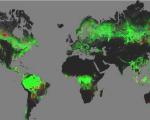First map of forest change that is globally consistent and locally relevant