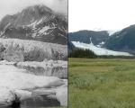 Pedersen Glacier 1917 and 2005