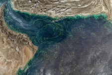 Floración de algas en el Golfo de Omán 24 de enero de 2018. Imagen: Ministerio de Cambio Climático y Medio Ambiente de los EAU