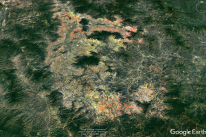 Vertical displacement as a result of the earthquake.