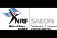 SAEON Logo SAEON Logo