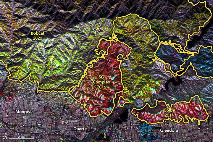 Mosaic maps of regeneration stages after a forest fire