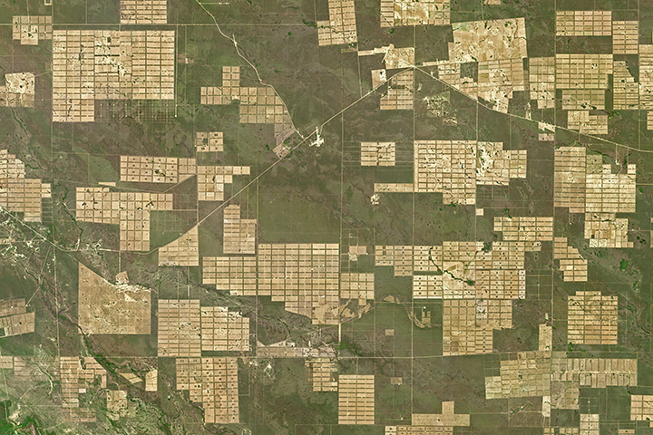 Satellite image shows mass deforestation in Paraguay. Image: NASA Earth Observatory.