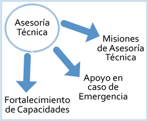 Asesoría