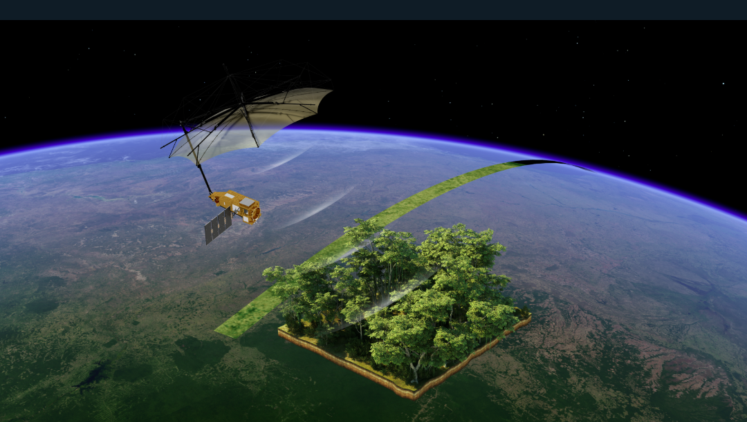 Tracking forest carbon, (c) esa