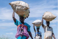 Screenshot of "The state of food security and nutrition in the world" by Food and Agriculture Organization of the United Nations (FAO) 