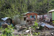 Damage from Hurricane Maria, which struck the island country of Dominica in 2017. Image: Tanya Holden/UK Department for International Development (DFID).