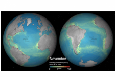 Global monthly primary productivity. Image: ESA