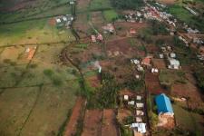 Rice paddies in Rwanda. Image: A'Melody Lee / World Bank.