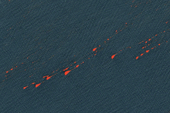 Sargassum detection