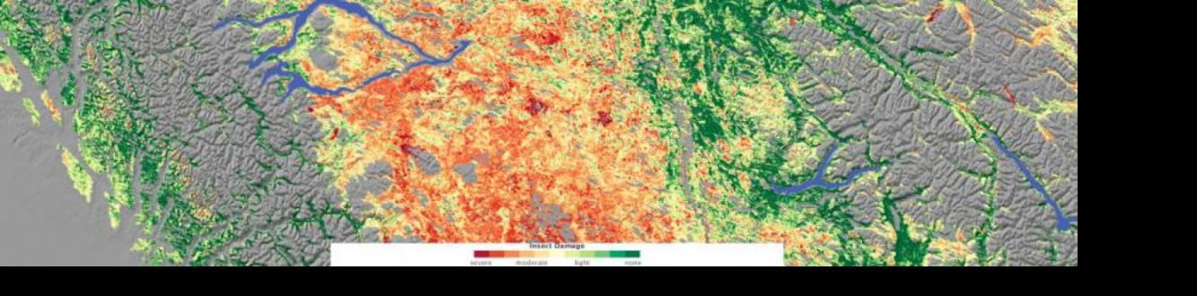 Relying on a variety of data sources, including observations by NASA’s Moderate Resolution Imaging Spectroradiometer (MODIS), Jon Ranson and Paul Montesano of NASA’s Goddard Space Flight Center conducted a survey of insect-damaged forests in British Columbia. This image shows their assessment of insect damage overlain on a topography map. In this image, red indicates the most severe damage, and green indicates no damage. Gray indicates non-forested areas. Image: NASA map by Robert Simmon.
