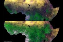 monitoring vegetation dynamics from space