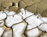 UNCCD Executive Secretary Luc Gnacadja: "Do not let our future dry up”