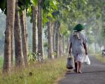 The study looks at eight countries in the Asia-Pacific