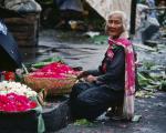 Today, people aged over 60 constitute 11 per cent of the global population.