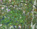 Radar image of land use in the Po Basin, Italy, acquired on 14 December 2012.
