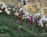 Landslides identified by the NASA-USGS-Interagency Volunteer Earthquake Response Team appearing in yellow and by the British Geological Survey-Durham University-Earthquakes Without Frontiers team in pink (Image: Google/ICIMOD) 