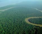 The Solimoes River, a branch of the Amazon River in northern Brazil, has caused major floods in the Amazonas state (Image: Catedral Verde - Floresta Amazonica)