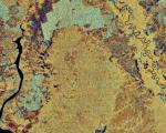 Satellite image of the Kalimantan region, which will not suffer drought in 2015 (Image: ESA)