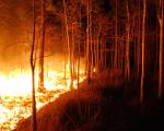 A wildfire burns at Florida Panther NWR. Image: US Fish & Wildlife Service.