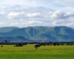 Western Ghats mountain range