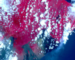 An image acquired 6 May 2018 via NASA’s Terra satellite picks up hotspots on the thermal infrared bands – shown in yellow. These hotspots are newly formed fissures and lava flows. Image: NASA/METI/AIST/Japan Space Systems, and U.S./Japan ASTER Science Team.  