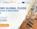 Copernicus Emergency Management Service