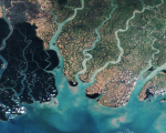 Satellite image over the eastern part of the Sundarbans in Bangladesh. Image: European Space Agency.