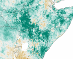 NDVI Anomaly. Image: NASA