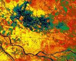 Vegitation Map of Mekong Delta