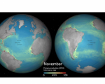 Global monthly primary productivity. Image: ESA