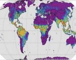 Solar-induced Fluorescence Map. Image: NASA