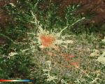 Ground deformation map of Pistoia in Tuscany. Using data acquired between 2014 and 2019 from the Copernicus Sentinel-1 mission, the map shows subsidence in red and uplift in blue. Image: ESA/TRE ALTAMIRA.