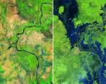 Images courtesy of NASA.