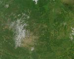 Forest observed through satellite imagery (Image: NASA/GSFC)