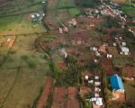 Rice paddies in Rwanda. Image: A'Melody Lee / World Bank.