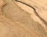 Drought in Sri Lanka in 2012.