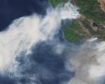 Forest fires. Image: ESA.