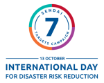 IDDRR Logo