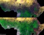 monitoring vegetation dynamics from space
