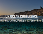 UN Ocean Conference