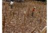 Droughts affecting Latin America