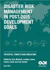 The ODI report analyzes the effects of disasters on various development sectors.
