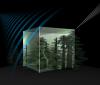 The Biomass satellite