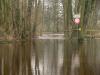 Floods in Saxony in 2008