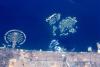 Dubai seen from Space by ESA astronaut André Kuipers on the ISS.
