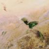 Satellite image shows Lake Chad 