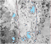 CAIN, Automatic classification of flood areas using normalized water index